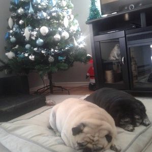 Meet your Posher, Maridan